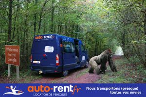AutoRent-Gorille-V1-01.jpg