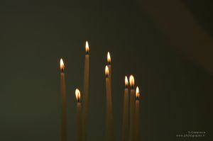20141127_Casanova_DSC08713.jpg