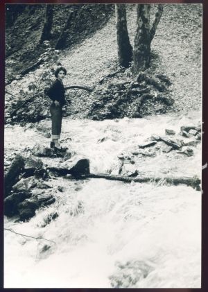 scan146-1979.jpg