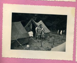 scan176.jpg